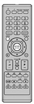 Orion TV 32FX100D replacement remote control different look